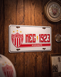 Placa de Estireno "Necaxa"