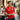 Polo Roja 26-27