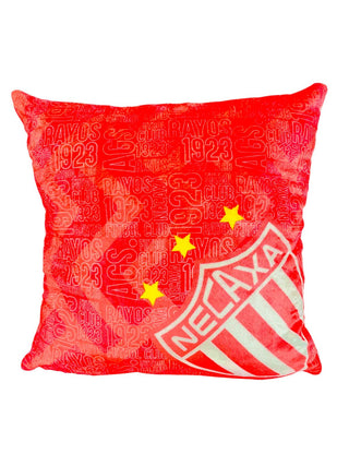 Cojín Cuadrado Escudo